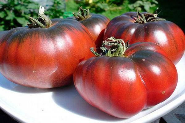 Описание сорта томата Черный жемчуг, особенности выращивания и уход