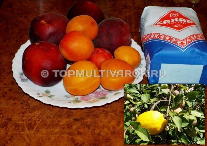Топ 7 рецептов приготовления на зиму абрикосового варенья в мультиварке