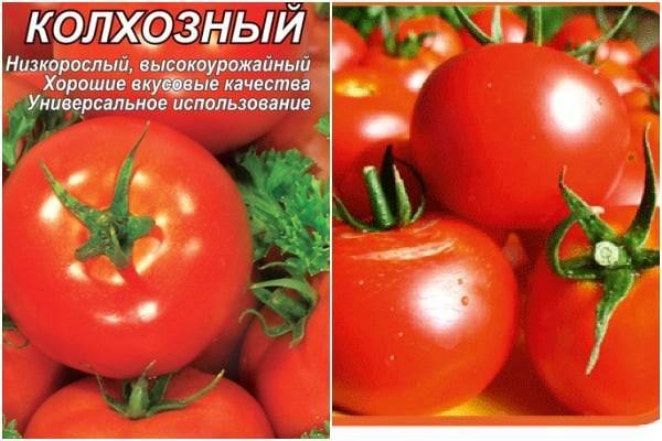 Описание сорта томата Колхозный, его характеристика и урожайность