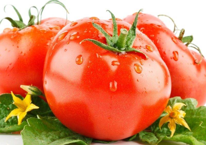 Урожайный сорт томата «слот f1»: секреты выращивания и описание сорта