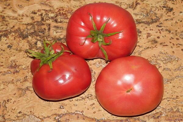 Сладкий томат медовые купола f1:  описание раннеспелого сорта