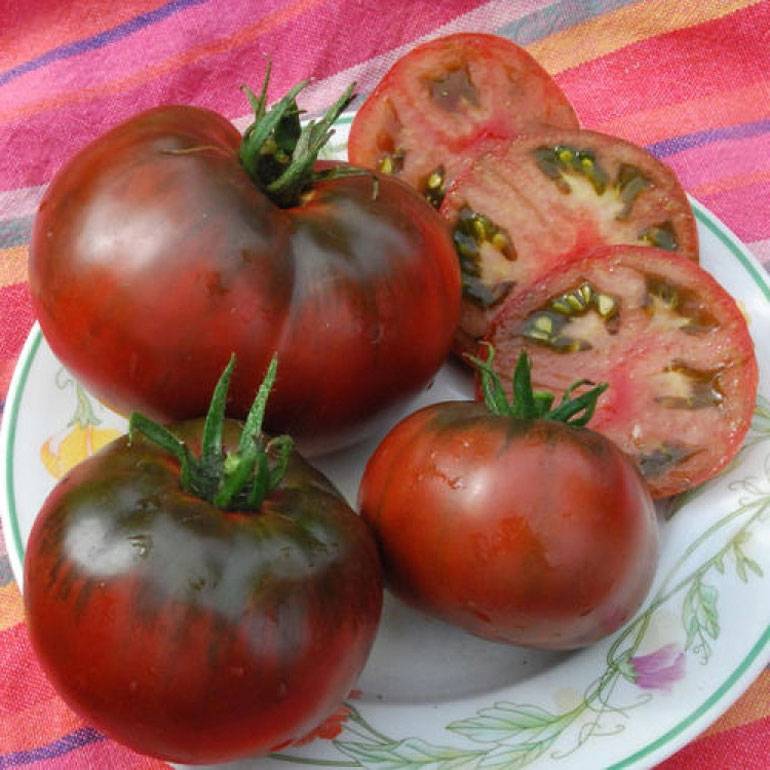 Особенности ухода за изумительной томатной культурой «черный принц»