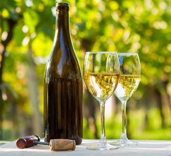 Домашнее вино из винограда: 14 простых рецептов с фото