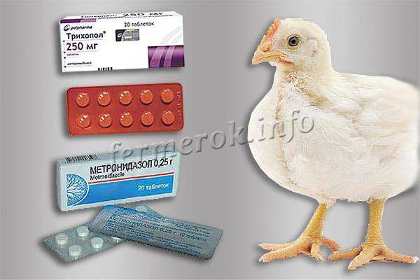 Схема пропаивания цыплят-бройлеров антибиотиками и витаминами