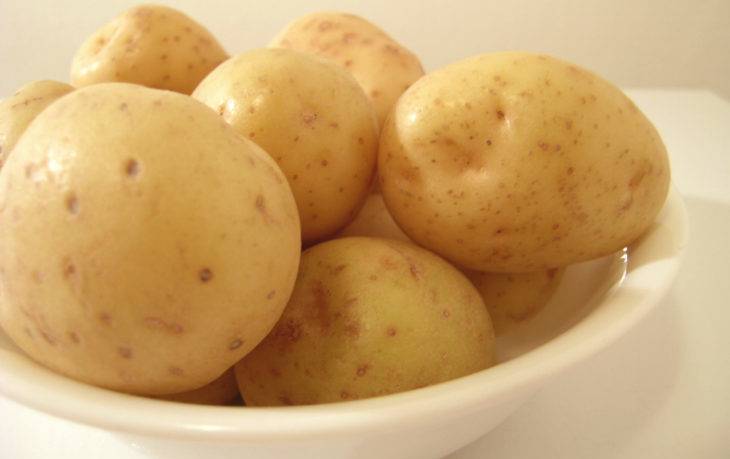 Сорт картофеля тулеевский
