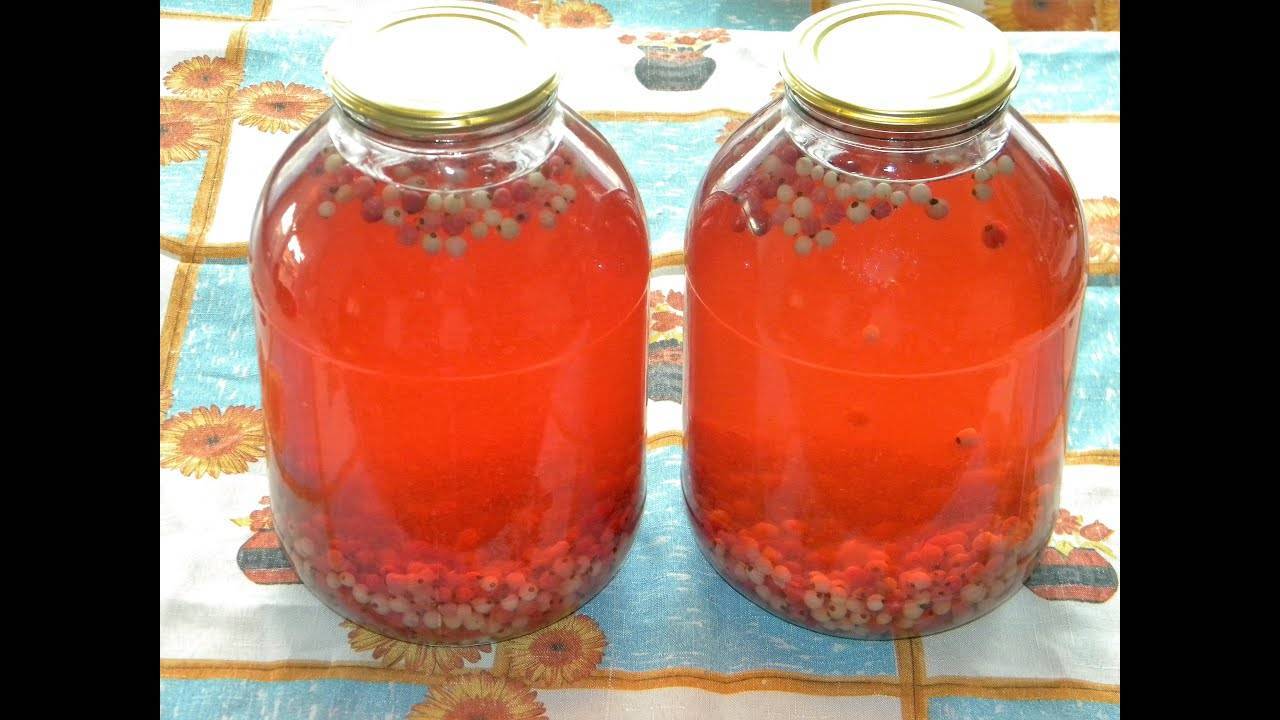 ТОП 5 рецептов компота из красной смородины с апельсином на зиму