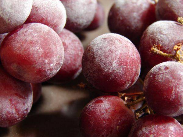 Заморозка винограда на зиму дома — как это правильно сделать