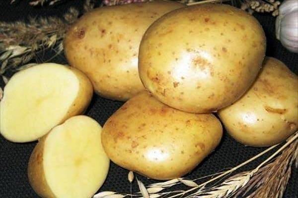 Описание сорта картофеля каратоп, его характеристика и выращивание