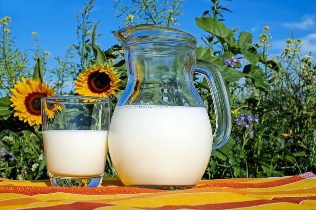Молоко, польза и вред для организма человека