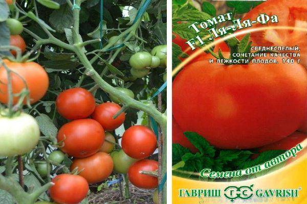 Описание сорта томата о ля ля и его характеристики