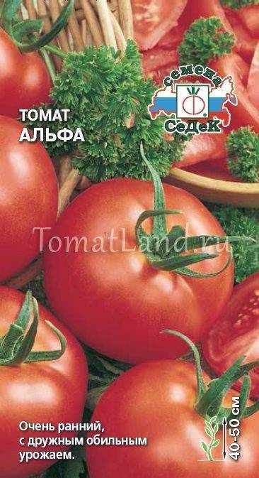 Описание сорта томата Альфа и его характеристика