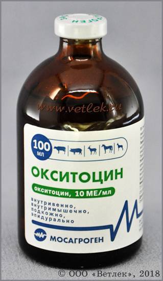 Инструкция по применению для коров Окситоцина, дозы для животных и аналоги