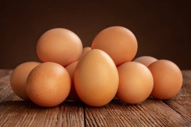 Как курица несет яйца: тонкости размножения кур