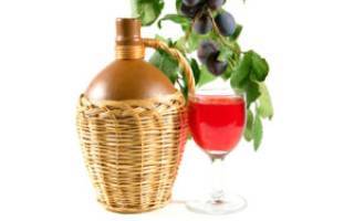 Вино из сухофруктов: 8 простых рецептов приготовления в домашних условиях