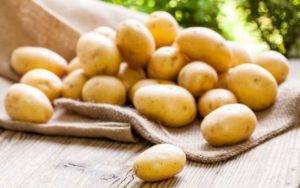 Вредители и болезни картофеля: фото, описание и лечение заболеваний
