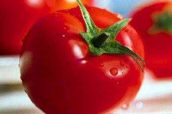 Отлично подходящий для теплиц, парников и открытого грунта сорт томата «малиновая кубышка»: описание и фото