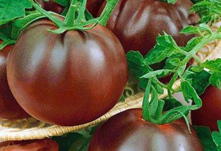 Характеристика и описание сорта томатов Виагра, их урожайность