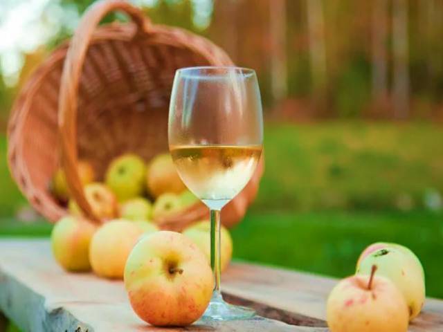 Правильная технология приготовления домашнего вина из яблок