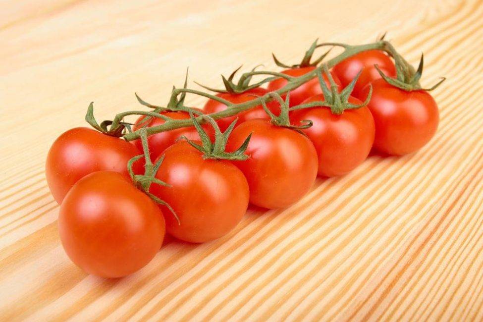 Уход и выращивание ампельных томатов: выбор сорта помидоров