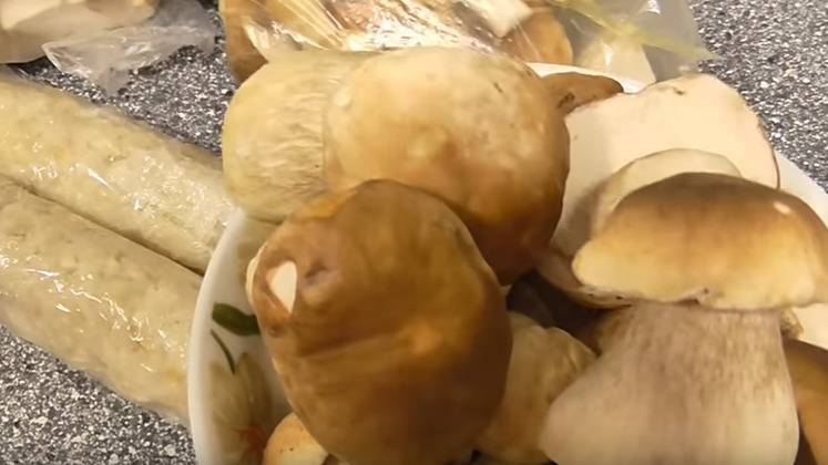 Как правильно заморозить грибы на зиму: рецепты