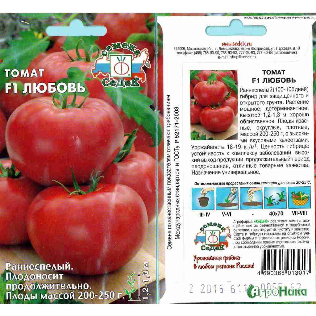 Идеальный на вид и на вкус томат «ранняя любовь»: выращиваем правильно и ставим рекорды урожайности