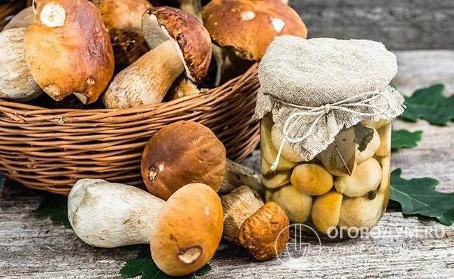 3 вкусных способа засолки грибов на зиму