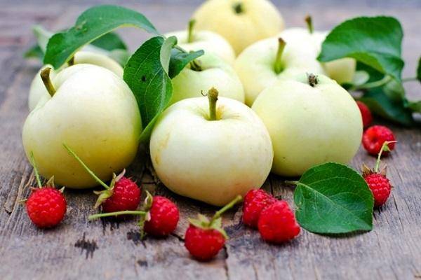 Как сварить компот из яблок: лучше рецепты домашней консервации