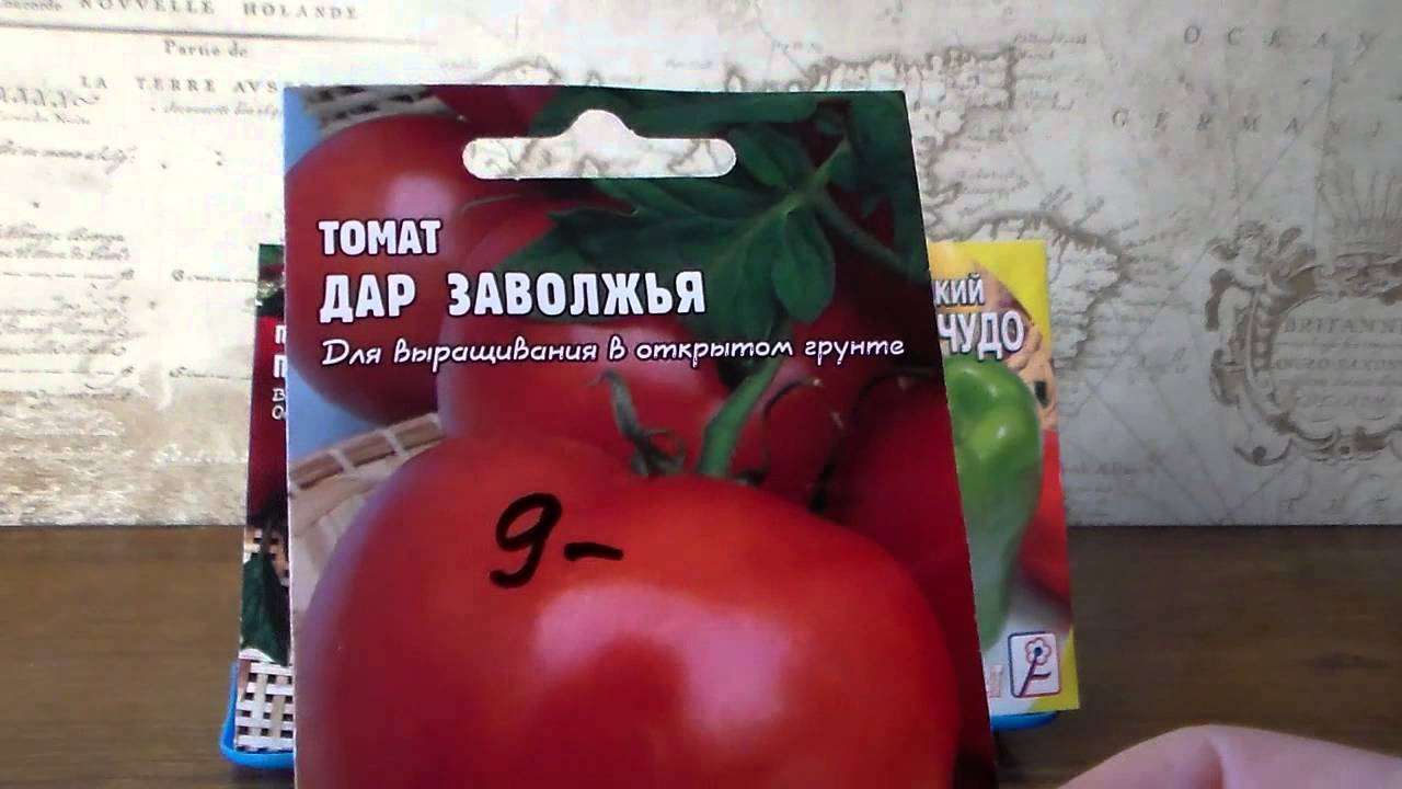 Описание сорта с фото и урожайность томатов «дар заволжья»
