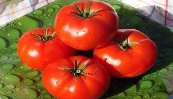Описание сорта томата чернослив, рекомендации по выращиванию и уходу