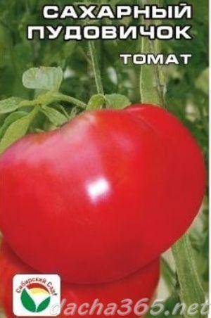 Описание сорта томата Красавец мясистый и его характеристики