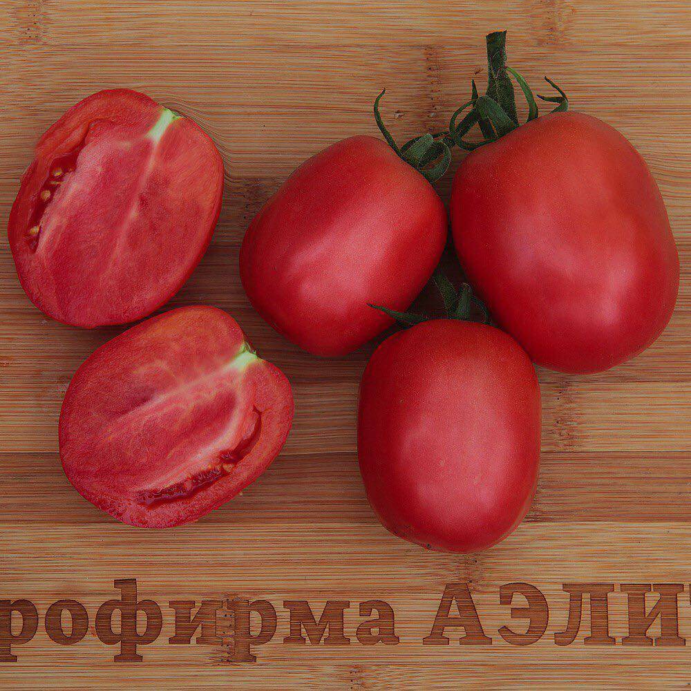 Характеристика и описание сорта томата столыпин, его урожайность