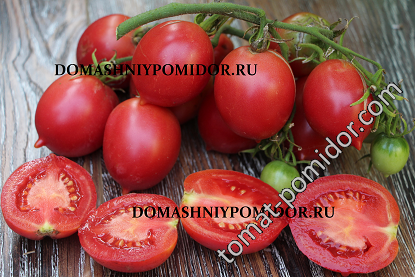 Сорт томата сызранская пипочка