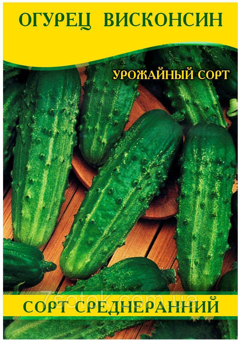 Огурец барабулька f1: описание и характеристика сорта, выращивание и урожайность с фото
