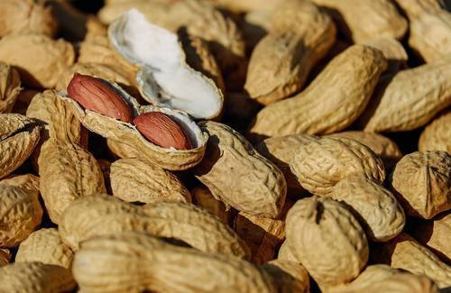 Полезные свойства арахиса и противопоказания