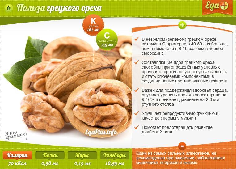 Польза и вред настойки на скорлупе грецких орехов. лечебные свойства, инструкция приготовления и иные советы