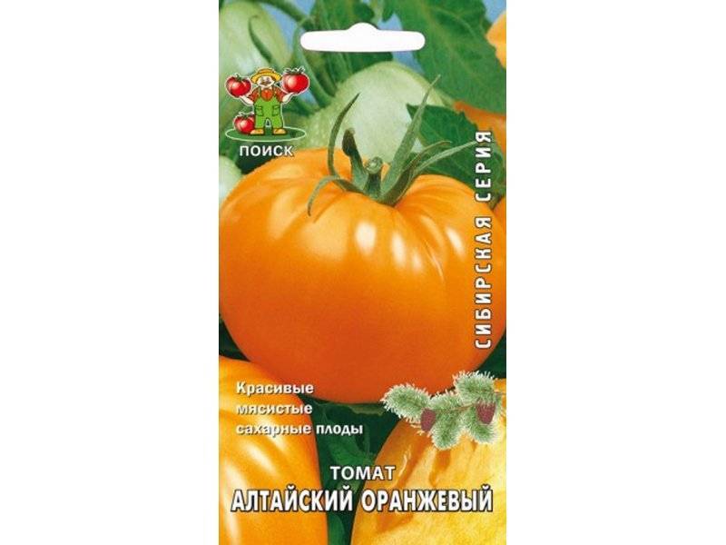 Сорт томата алтайский оранжевый: описание сорта, фото и отзывы