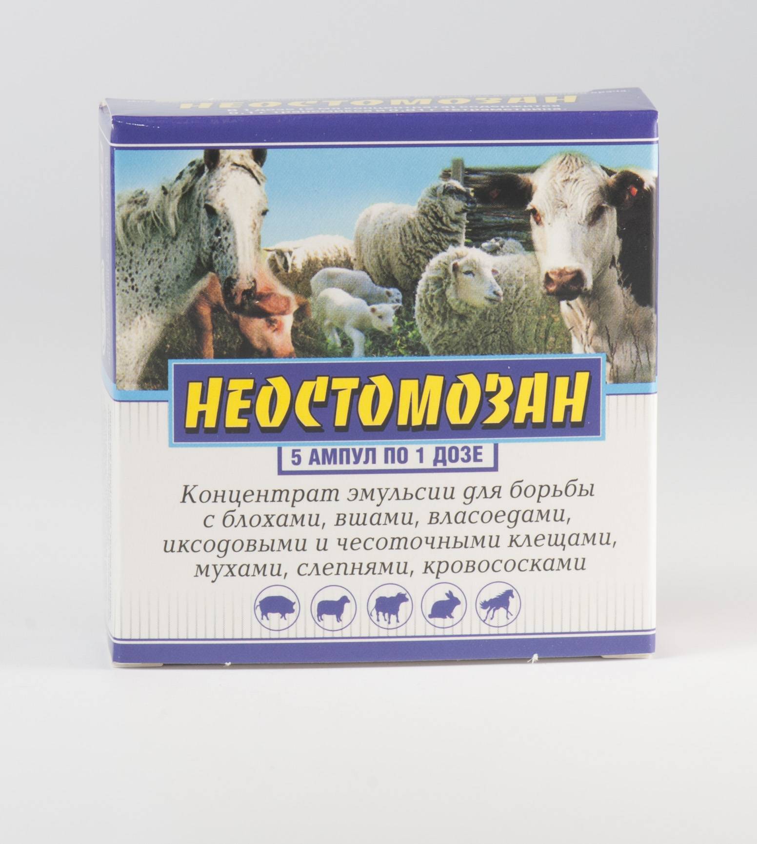 Вши у коров и телят: лечение, профилактика, народные средства, ветеринарная служба владимирской области