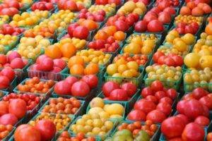 Японские сорта томатов описание характеристика