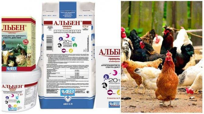 Альбендазол в ветеринарии: инструкция по применению для животных