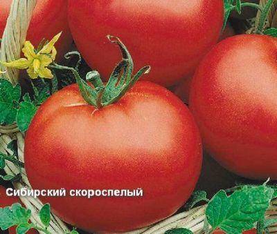 Томат сибирский козырь: описание, фото, отзывы