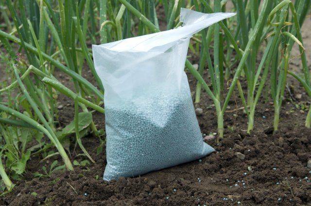 Удобрение суперфосфат, применение на огороде, как вносить в почву?