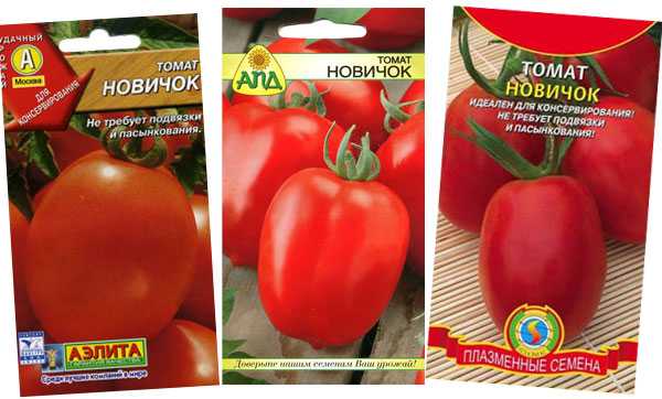 Неимоверно урожайный томат машенька: детальное описание, выращивание, отзывы