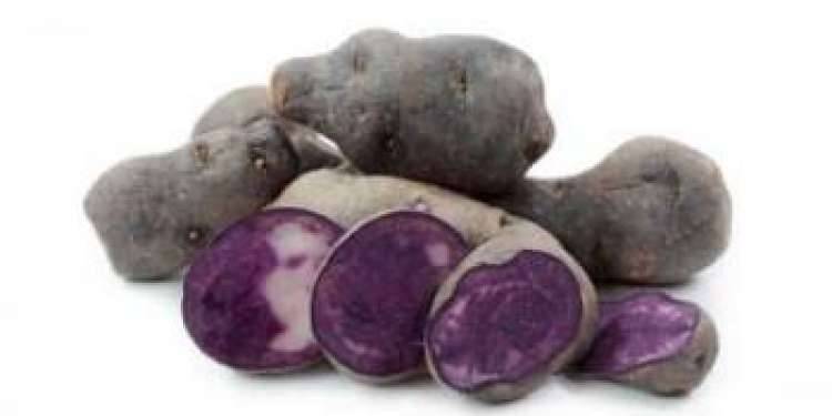 Фиолетовая картошка: описание сорта, полезные свойства, отзывы