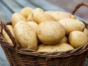 Жареная картошка — польза и вред