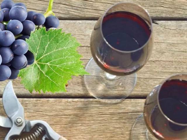 Как правильно приготовить виноградное вино в домашних условиях