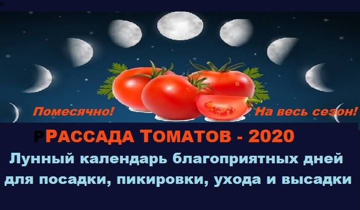 Лунный календарь высадки томатов