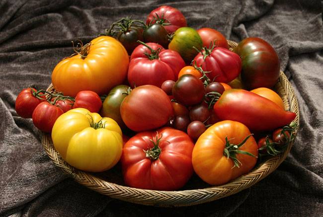 Об одном из самых вкусных и таинственных сортов томатов — заржавевшее сердце эверетта