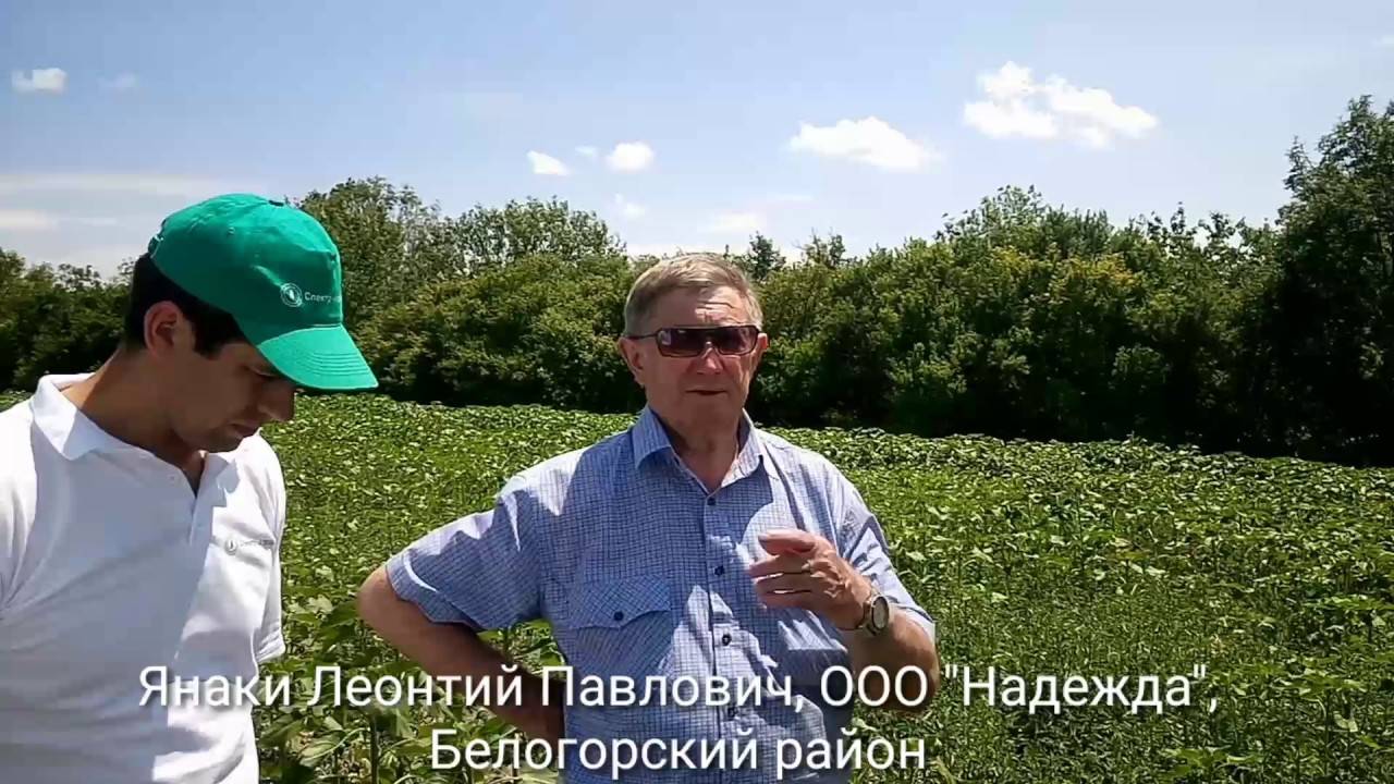 Гербицид гербитокс: инструкция по применению, механизм действия и нормы расхода