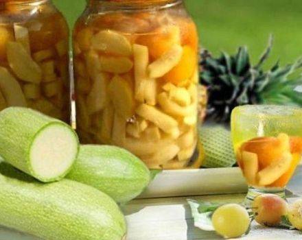 Самые лучшие рецепты заготовки красной смородины на зиму