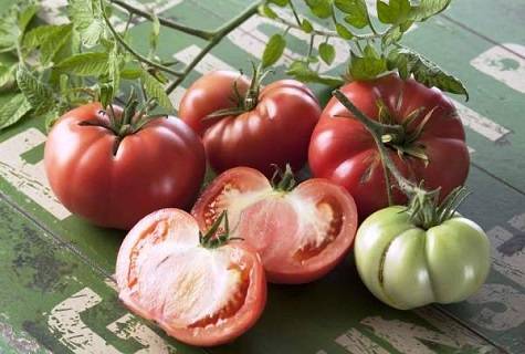 Характеристика и описание сорта томата Марманде, его урожайность